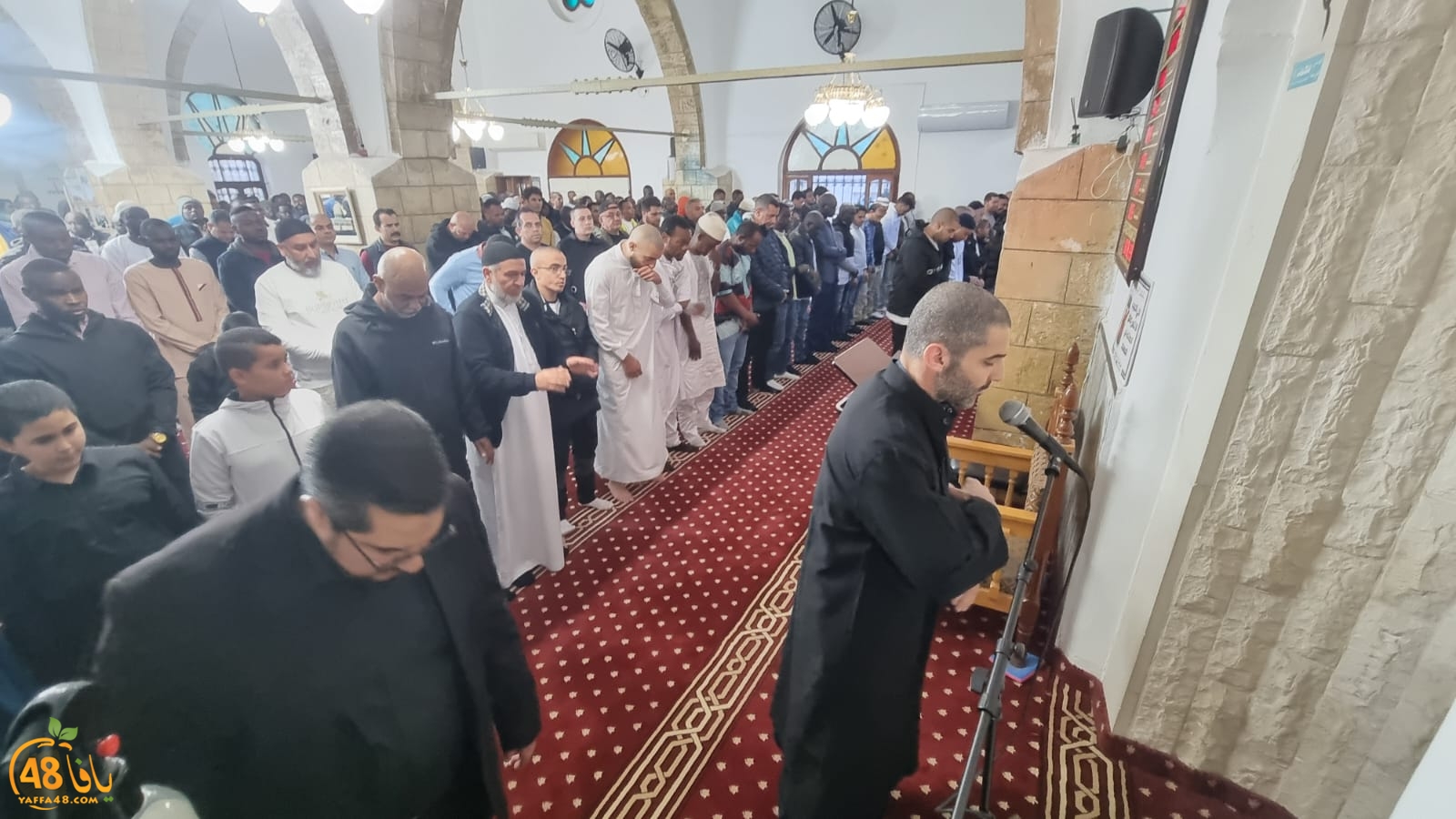 WhatsApp Image 2024-04-10 at 6.58.53 AM.jpeg